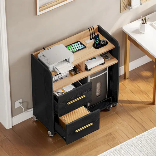 2-Drawer Rolling File Cabinet with Printer Stand for Home Office