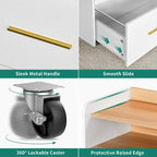 2-Drawer Rolling File Cabinet with Printer Stand for Home Office