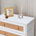 6-Drawer PE Rattan Storage Cabinet Dresser